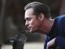 Pengorbanan Alexander Skarsgard untuk The Legend of Tarzan