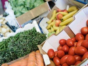 90% Makanannya Impor, Singapura Terancam Krisis 90% Makanannya Impor, Singapura Terancam Krisis