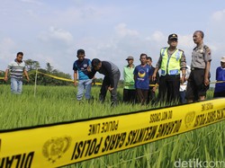Pria Paruh Baya Ditemukan Tewas di Sawah, Polres Tegal Gelar Olah TKP