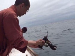 Biksu di Kanada Ini Beli 272 Kg Lobster dari Restoran untuk Dilepas ke Laut