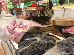 Kementan: Impor Jeroan Hanya untuk Hati, Jantung, dan Paru