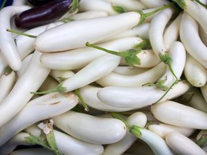 Selain Terung Ungu, Jenis Terung Ini Juga Patut Dicicip