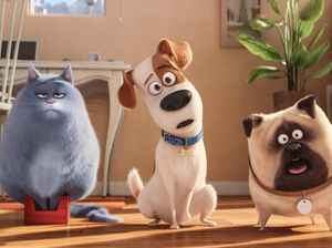 Anjing Lucu Bernama Max Puncaki Box Office