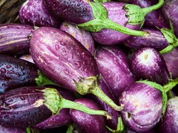 Mr P Berubah Warna jadi Keunguan? Ini Kemungkinan Sebabnya