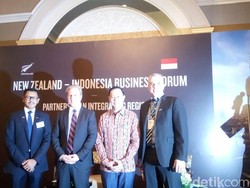 Cetak Pilot Taksi Udara, RI Gandeng Selandia Baru