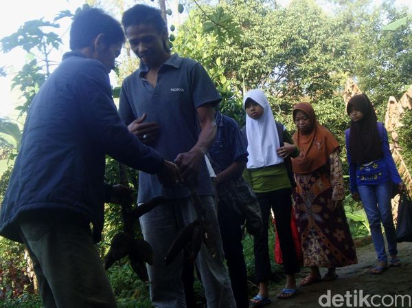 Daftar Ulang Sekolah dengan Hasil Bumi