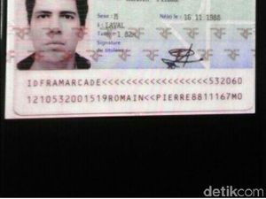 Insiden Bule Prancis, Kodam Siliwangi Larang Prajurit Main Pokemon Go di Markas