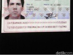 Insiden Bule Prancis, Kodam Siliwangi Larang Prajurit Main Pokemon Go di Markas