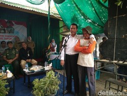 RI Masih Impor Singkong, Mentan: Tanya Dong Kapan Ekspor Lagi