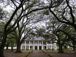 Wisata Kelam Kisah Pilu Masa Lalu di Museum Perbudakan AS