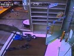 38 Detik Masuk Restoran, Babi Hutan Ini Bikin Restoran Porak Poranda