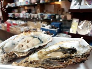 Liburan ke Hiroshima, Wajib Icip-icip Tiram Panggang