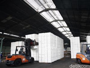 Konsumsi Kertas Dunia Diramal Tembus Rp 6.000 T, Ini Pendorongnya Konsumsi Kertas Dunia Diramal Tembus Rp 6.000 T, Ini Pendorongnya