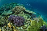 Banyak Tempat Wisata Keren di Kampung Halaman Kezia Warouw