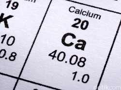 10 Makanan yang Bisa Penuhi Kebutuhan Kalsium Harian