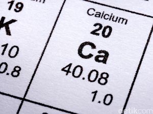 5 Makanan Kaya Kalsium dan Vitamin D untuk Sehat dan Kuatnya Tulang 5 Makanan Kaya Kalsium dan Vitamin D untuk Sehat dan Kuatnya Tulang