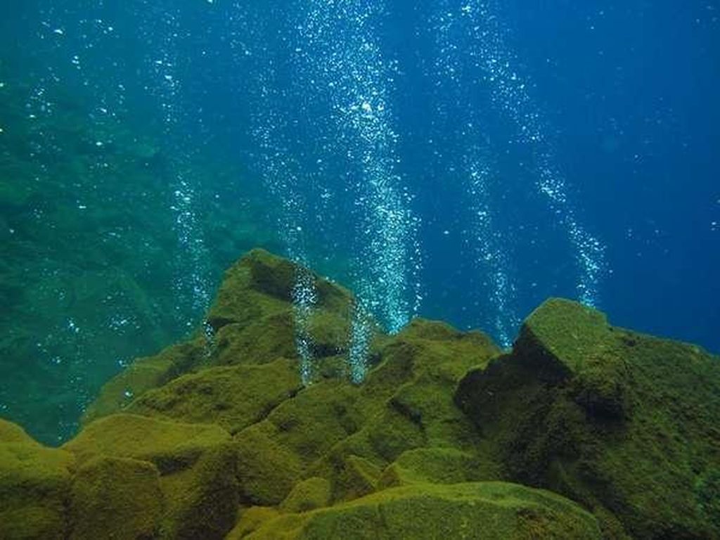 Gunung Bawah Laut Ditemukan di Perairan Pacitan, Berikut Sederet Faktanya