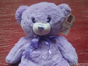 Tiap Keluar Rumah Ibu Ini Selalu Bawa Boneka Beruang, Kenapa Ya?
