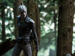 Film-film yang Rilis di Bioskop