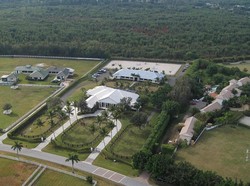 Janda Steve Jobs Beli Rumah Rp 200 Miliar Tunai