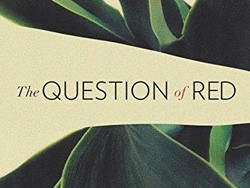 Novel Amba Laksmi Pamuntjak Rilis di Amerika