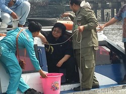 Menteri Siti Telusuri Sungai Siak, Ambil Sampel Air untuk Cek Pencemaran