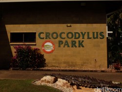 Berkeliling Crocodylus Park, Taman Buaya Terbesar di Darwin