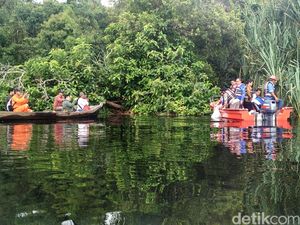 Menelusuri Taman Nasional Zamrud Riau, Aset Lingkungan yang Perlu Dilestarikan