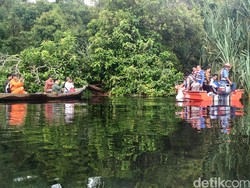 Menelusuri Taman Nasional Zamrud Riau, Aset Lingkungan yang Perlu Dilestarikan