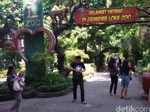 Pemburu Pokemon Serbu Kebun Binatang Gembira Loka Yogyakarta