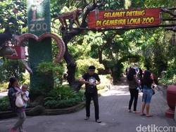 Pemburu Pokemon Serbu Kebun Binatang Gembira Loka Yogyakarta