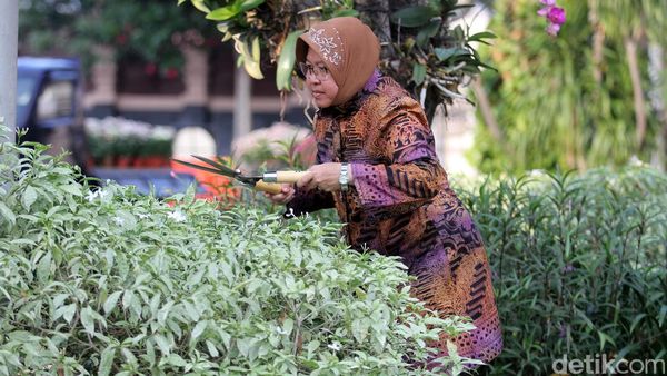 Risma Pastikan Panggung Welcome Dinner Prepcom III Aman
