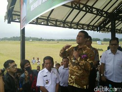 Aksi Panen dan Tanam Padi Kilat Mentan di Tepi Danau Toba