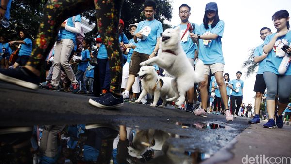 Family Charity Fun Walk