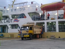 Tiba Sabtu Siang, Kapal Ternak Angkut 482 Sapi dari Kupang