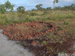 Obat Rindu Aborigin pada Pelaut Makassar