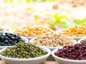 Sudah Diet Vegan Kok Bobot Tak Turun Juga? Mungkin Kurang Protein