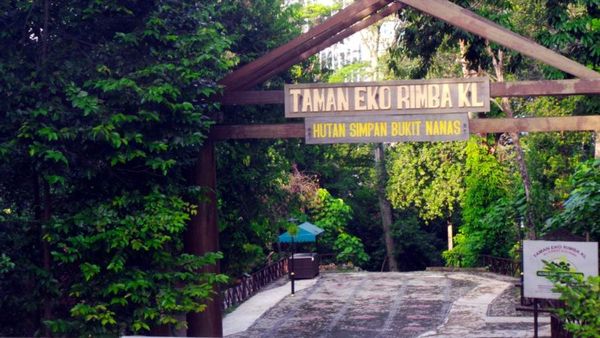 Penampakan Hutan Belantara & Jembatan Kanopi di Jantung Kuala Lumpur