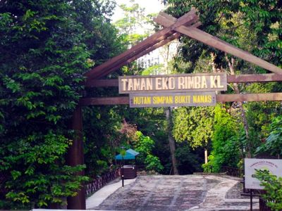 Penampakan Hutan Belantara & Jembatan Kanopi di Jantung Kuala Lumpur