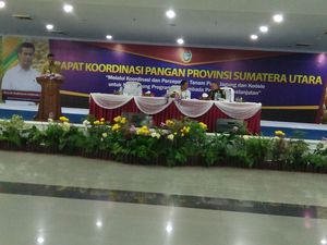 Harga Daging Sapi Tinggi, Mentan: Sebaiknya Konsumsi Ikan