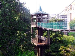 Uji Nyali Meniti Jembatan Kanopi di Jantung Kuala Lumpur