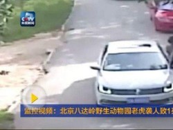 Seorang Wanita Tewas Diterkam Harimau di China