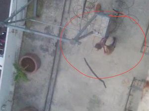 Beredar Video Mesum Pria dan Wanita di Jatinangor, IPDN Tepis Prajanya Terlibat