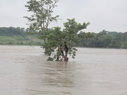 Banjir Tewaskan 58 Orang di Nepal, 1 Juta Warga di India Mengungsi