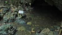 Konon, Air di Gua Pangandaran Ini Bisa Bikin Awet Muda