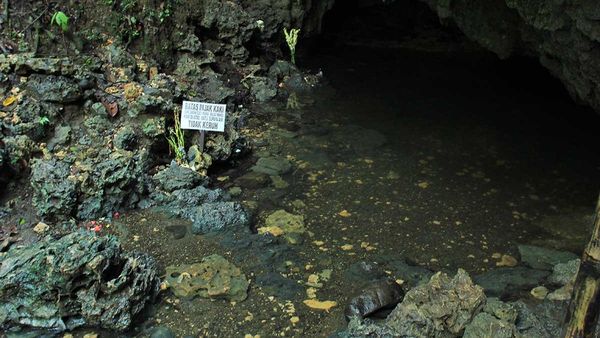 Konon, Air di Gua Pangandaran Ini Bisa Bikin Awet Muda
