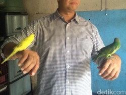 Tak Lagi Jadi Mendikbud, Anies Ingin Istirahat Dulu dan Balik ke Kampus