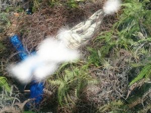 Mahasiswi di Batam yang Tewas Dibunuh Hamil 6 Bulan, Polisi Buru Pelaku