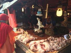 Hingga Akhir Juli, Harga Ayam Masih Tinggi Rp 40.000/Ekor