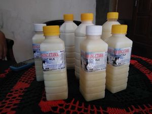 11 Manfaat Susu Kambing Etawa, Menyehatkan Kulit hingga Jantung